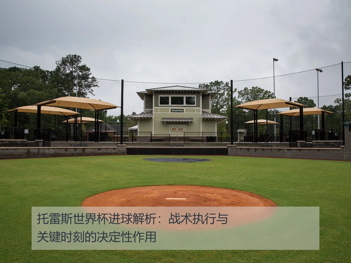 托雷斯世界杯进球解析:战术执行与关键时刻的决定性作用